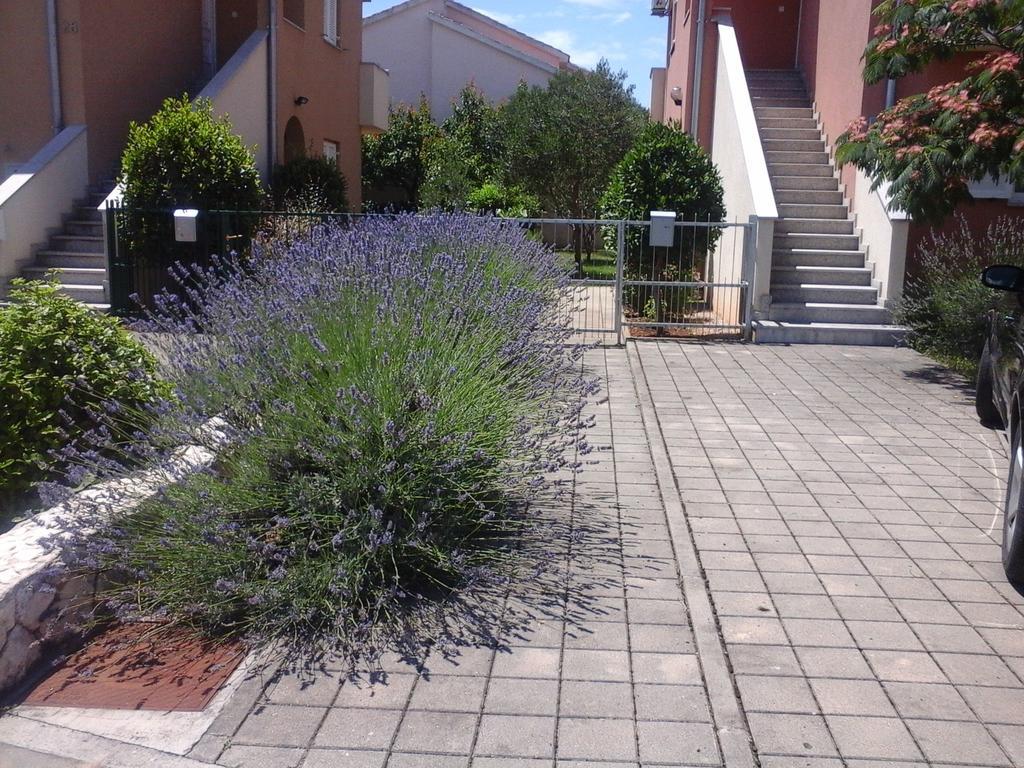 Apartments Danica Vodice Exterior photo